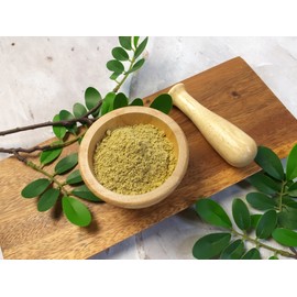 Donggwang Corporation Domestic barley sprout powder 500g / 국내산 새싹보리분말 500g
