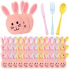 Teecyhooo 160 Pcs Pastel Plastic Silverware Rabbit Party Supplies Plastic