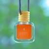 CANVAS Beauty Car Diffuser (Pick Your Scent):_Drunken Peach