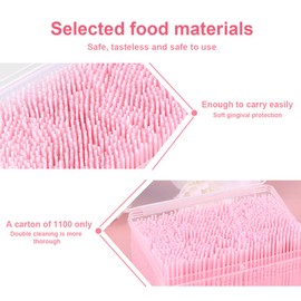 Healifty Disposable Toothpicks, 1100pcs Double- head Plastic Toothpicks, Interdental Toothpick Floss Oral Care Floss for Men