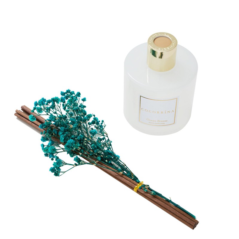 COCORRÍNA Reed Diffuser - Ocean Breeze Scented Diffuser with 8