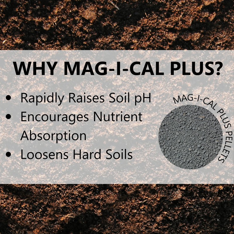 Jonathan Green (11354) Mag-I-Cal Plus Soil Food for Lawns in