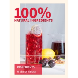TeeLux Hibiscus Iced Tea, Family Sized Hibiscus Tea Bags, Natural Hibiscus Flowers Herbal Tea, Refreshing Tart Flavor, Caffeine Free, 20 Count