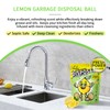 ifbaby Garbage Disposal Cleaner and Deodorizer – Sink Odor Eliminator,