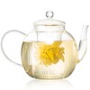 Wlasss 1530 ml/52 oz Large Glass Teapot with Removable Infuser,