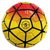 Durable Soccer Balls Size 5 with Pump