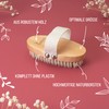 Oval Body Brush without Plastic, Dry Brush, Exfoliating Brush, Massage