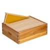 BeeCastle 10 Frame Assembled Medium Honey Super Bee Hive Box