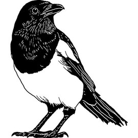 'Magpie' Rubber Stamp - Unmounted Design for Crafting & Scrapbooking, A7 (RS00037436)