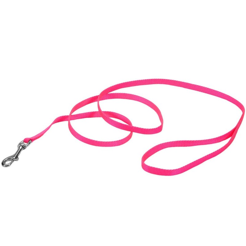 Coastal Pet Single-Ply Nylon Leash with easy-to-use Bolt Snap, Neon