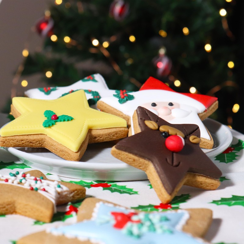 PME CH24CCC109 Christmas Cookie Cutters, Stars (Set of 3), Steel
