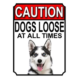 CAUTION DOGS LOOSE AT ALL TIMES METAL GATE SIGN SIBERIAN HUSKY 200MM X 150MM (1221H1)