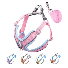 Dog Harness with Leash Set, No Pull Adjustable Reflective Step-in Puppy Harness with Padded Vest for Extra-Small/Small Medium Large Dogs and Cats(Pink, M)