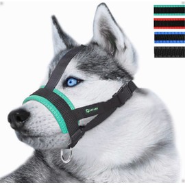Lepark Head Strap Dog Muzzle Prevent from Taking Off by Paws for Small,Medium and Large Dogs(L/Green)
