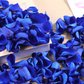 Real Dried Rose Petals, Naturally Preserved Petals for Wedding Decoration, Bridal Shower, Engagement, Romantic Evenings and Table Decoration - Confetti in Blue