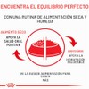 ROYAL CANIN Lata Wet All Dogs Mature Adult, 385g (El