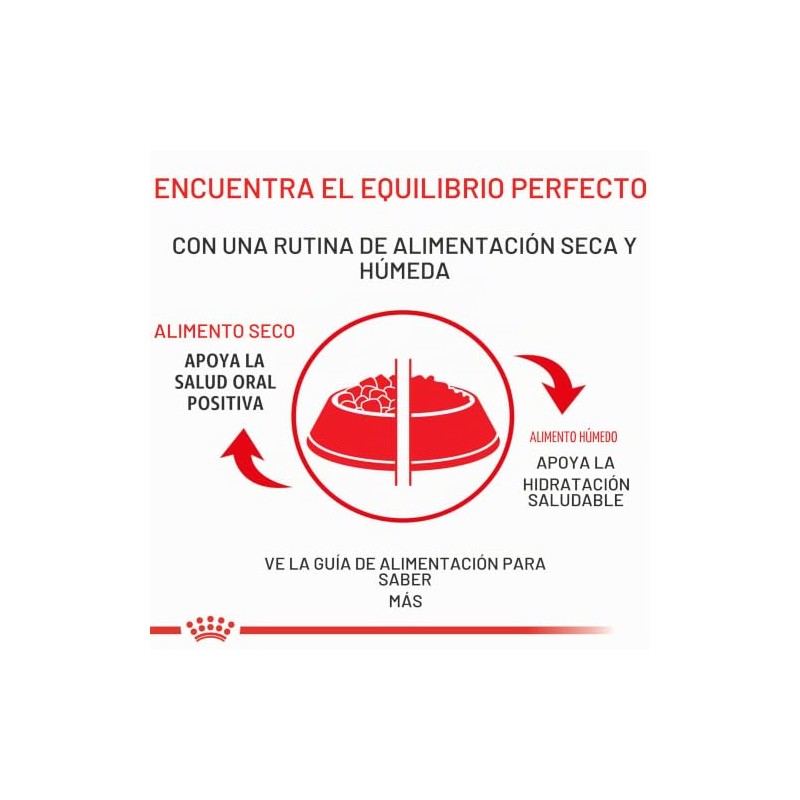 ROYAL CANIN Lata Wet All Dogs Mature Adult, 385g (El