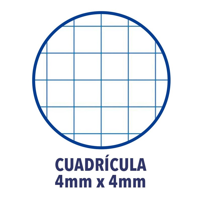 Oxford Classic Spiral Notebook, Plastic Cover, Grid 4 x 4,