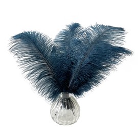 20 pcs Ostrich Feathers Centerpiece 12-14 inch for Wedding Home Party Decoration, DIY Craft-Turquise