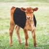 Adjustable Farm Calf Cow Baby Warm Clothes Oxford Fabric Coat