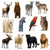 Moose 2FT Life Size Cardboard Cutout – A Fun Animal
