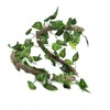 Reptile Climbing Branch Flexible Jungle 3.28ft Rattan 1Pc Vine(3.28ft Rattan+Scindapsus