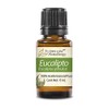 Eucalipto - Aceite Esencial Puro 15 ml - Grado Terapéutico