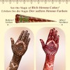 Neeta Henna Cones 12 Pack Natural Mehndi Paste Auburn Colour
