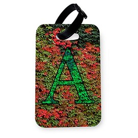 WTF | Custom Ivy Large Initials | Printed Art Faux Leather Passport Cover/Luggage Tag (Luggage Tag)