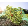 Windhager Rational Bird Protection Net, Pond Net, Leaf Net, Mesh