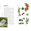 Medicinal Plants of the Pacific Northwest: A Visual Guide to