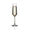 Schott Zwiesel Pure Glassware - Champagne Flutes - Processo Glasses