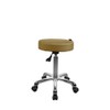 Source One Beauty SPA NUMA Button Esthetician Stool with Metal