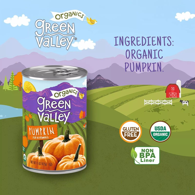Green Valley Organic Pumpkin 15 Ounce Pack of 4 100%