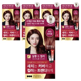 Elastin Salon de Color & Gray Hair Dye Cream, Wine Brown, 5 pieces / 엘라스틴 살롱 드 컬러 앤 새치 염색 크림, 와인브라운, 5개