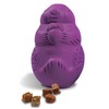 PetSafe Busy Buddy Squirrel Dude, Interactive Treat Dispensing Dog Toy