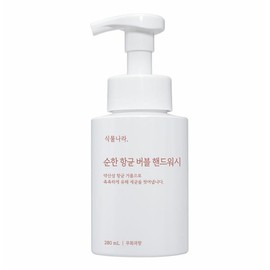 Shingmulnara Mild Antibacterial Foaming Hand Wash (#Fig)_280mL - #Fig
