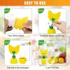 Paddsun 2X Fruit Fly Traps with Sticky Pads For Plant