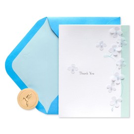 Papyrus Thank You Card (So Much)