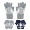 NyxSeat 2 Pairs of Gloves with Snowflake Print, Winter Gloves