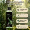 100ml Champú Orgánico De Romero Para El Crecimiento Del Cabello