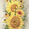 IHR Le Tournesol Tan Cocktail Napkins, Pack of 20