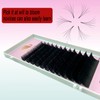 Pro Fairy Easy Fan Lash Extension Rapid Blooming Volume Lashes