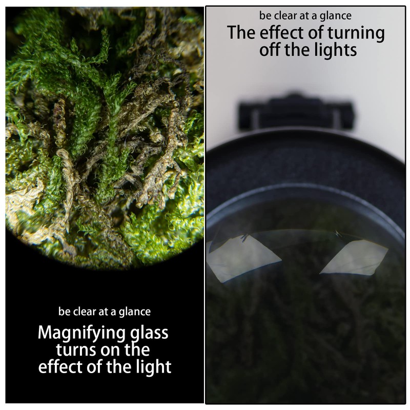 Glass Jars with Magnifying Lid and Light, Light-Up LED Transparent