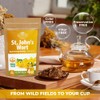 4 oz. St Johns Wort Herb Herbal Tea (Hypericum) -