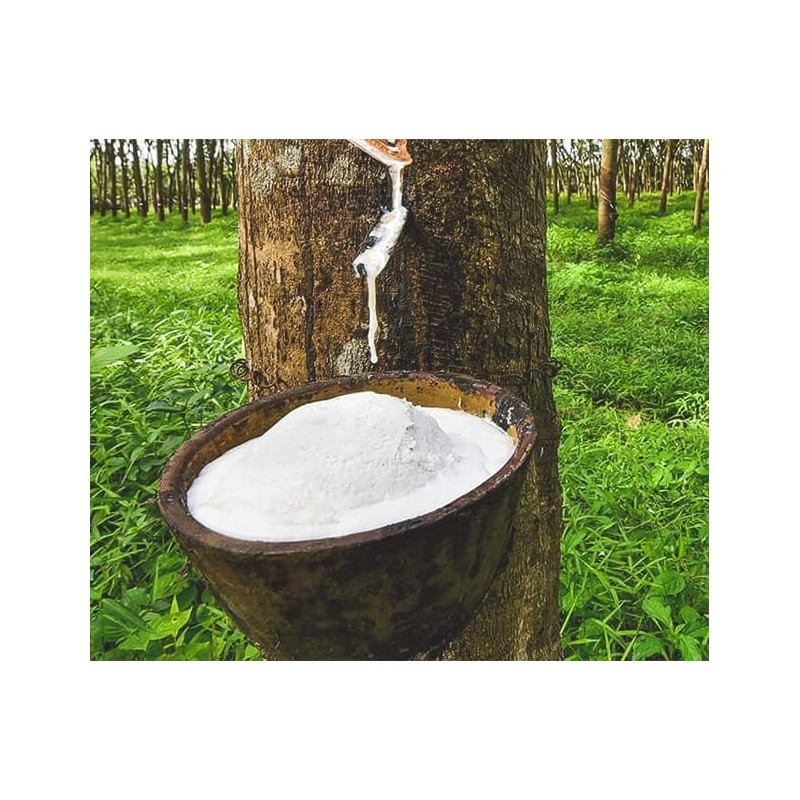 100% Natural Latex Mattress Topper - 2" Thick (Medium, Twin