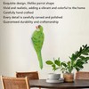 Parrot Figurine Simulation Vivid Innovative Wall Mounted Hand Painted Resin