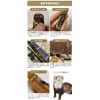 LIP3015 Ferret Lead Single Item (Multi-Border Yellow)