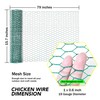 ARIFLOR Chicken Wire Mesh - 0.6 Inch Hexagonal Green PVC