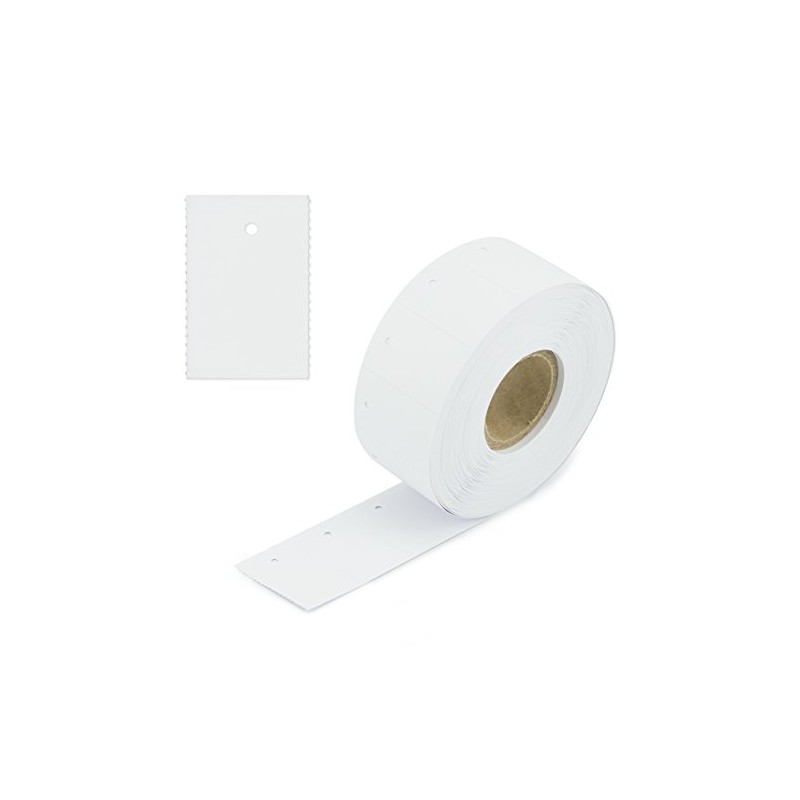 1,000 Continuous Labels 30 x 60 mm Blank Cardboard Labels